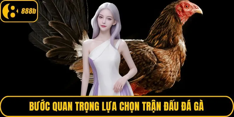 Bước quan trọng lựa chọn trận đấu đá gà