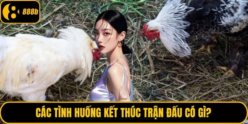 Các tình huống kết thúc trận đấu có gì?