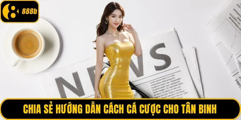 Chia sẻ hướng dẫn cách cá cược cho tân binh