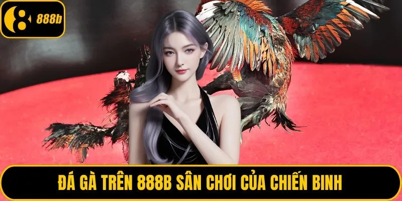 Đá gà trên 888B sân chơi của chiến binh