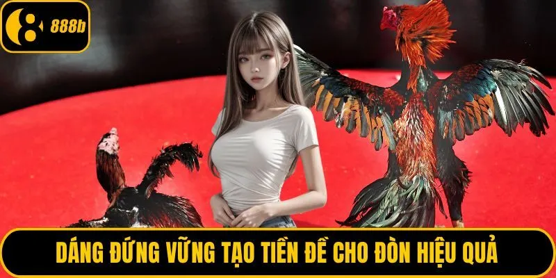 Dáng đứng vững tạo tiền đề cho đòn hiệu quả
