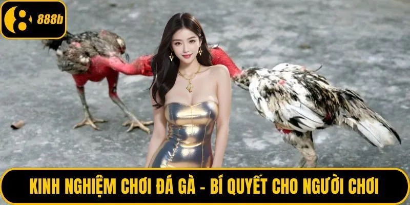 Kinh nghiệm chơi đá gà
