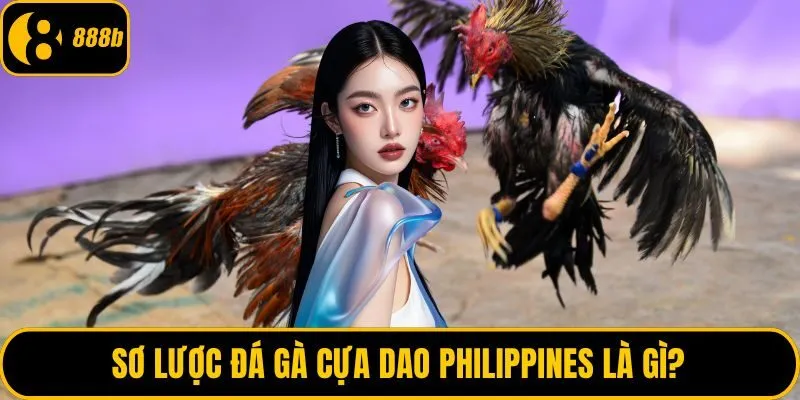 Sơ lược đá gà cựa dao Philippines là gì?