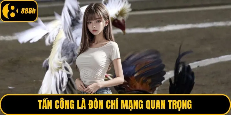 Tấn công là đòn chí mạng quan trọng