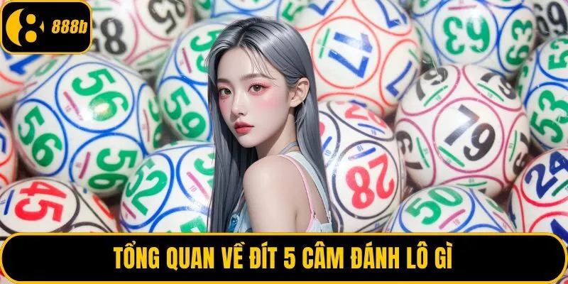 Tổng quan về đít 5 câm đánh lô gì