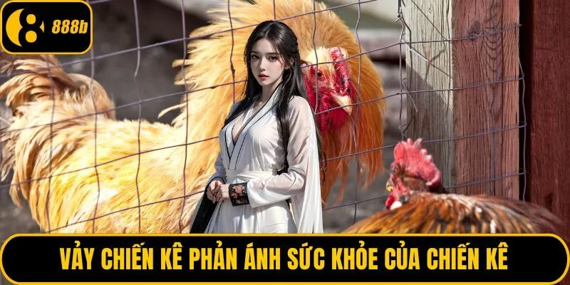 Vảy chiến kê phản ánh sức khỏe của chiến kê